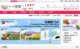 整站源碼與源碼庫 寧波網頁設計的利器